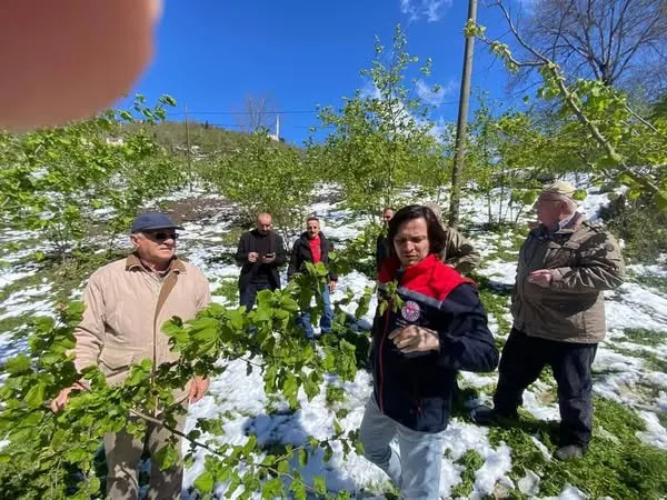 ZİRAİ DON ÖDEMELERİ HESAPLARDA!