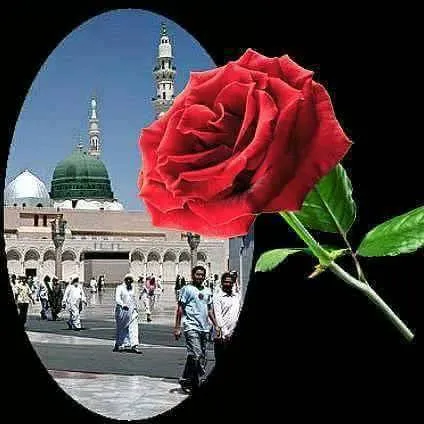 PEYGAMBERİMİZİ AĞLATAN BİR OLAY