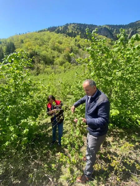 MAÇKA’DA HASAR TESPİT ÇALIŞMALARI SÜRÜYOR 