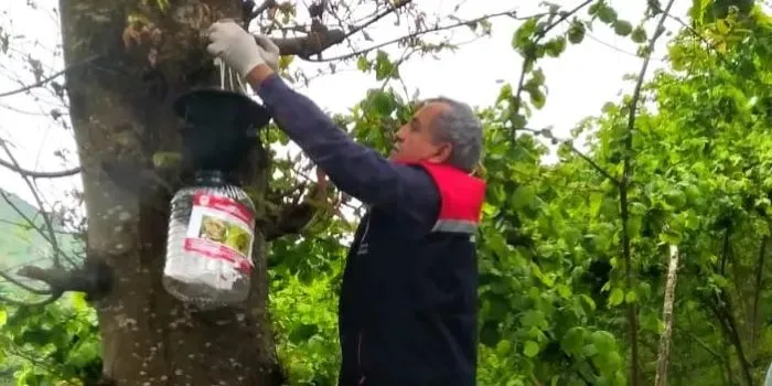 TRABZON KAZAN ONLAR KEPÇE 