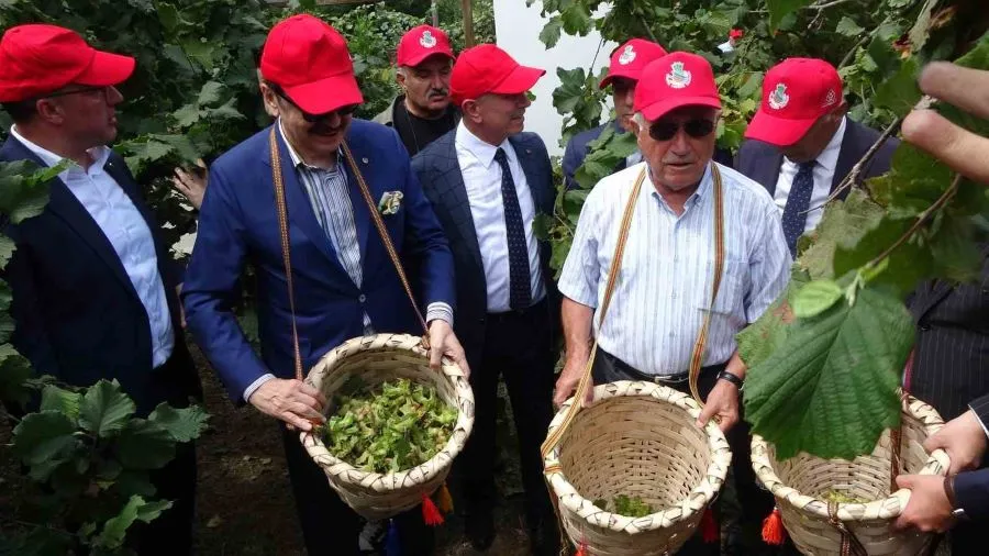 FINDIK İHRACATINDA HEDEF BÜYÜK!