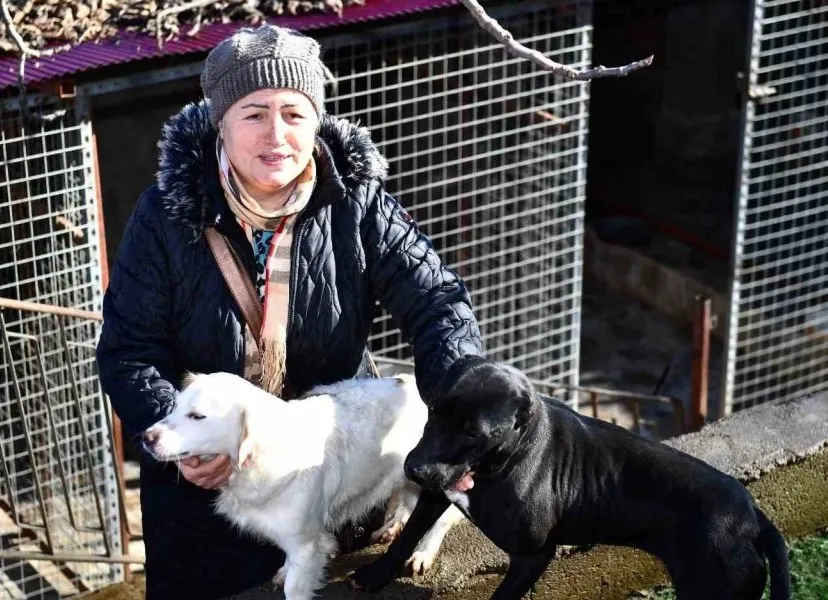 HAYIRSEVERLERE MAMA DESTEĞİ 