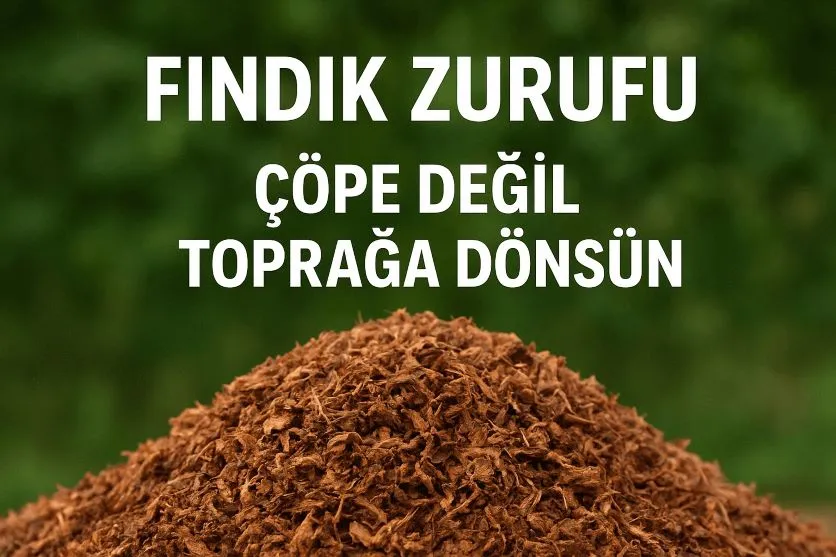 ATIK DEĞİL DOĞAL KAYNAK!