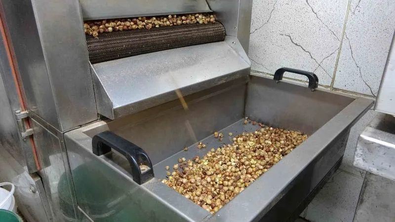 FINDIK HASADI TAMAM, SIRA KIRMA VE KAVURMADA 